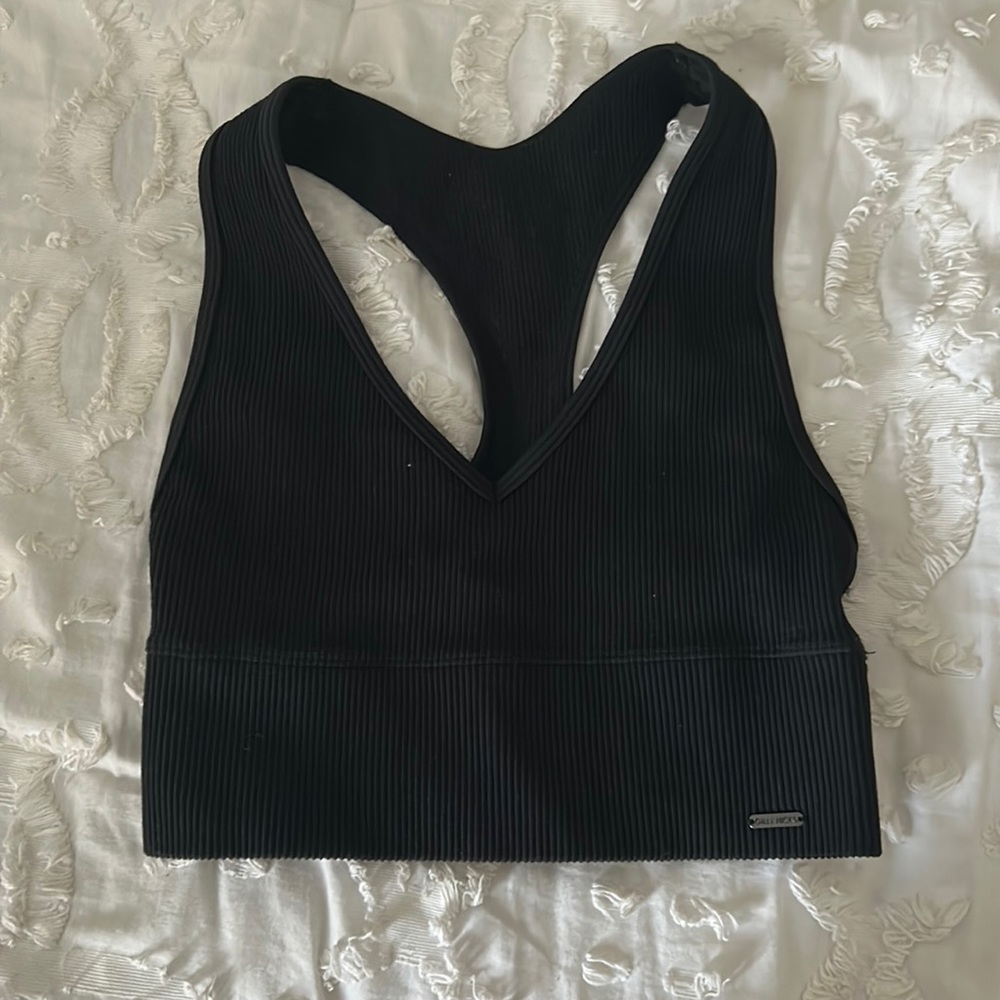 Gilly Hicks by Hollister bra top.